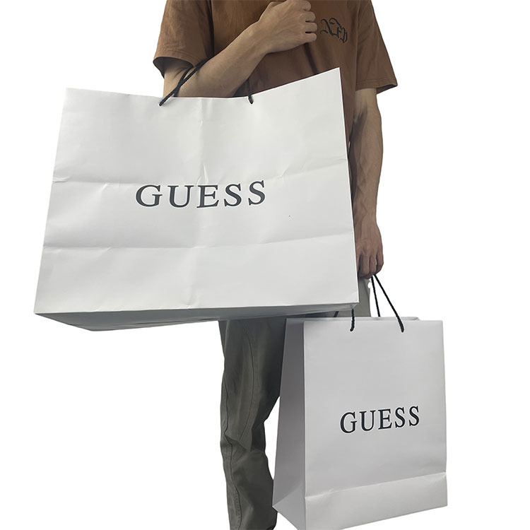 Printed Shopping Paper Bag